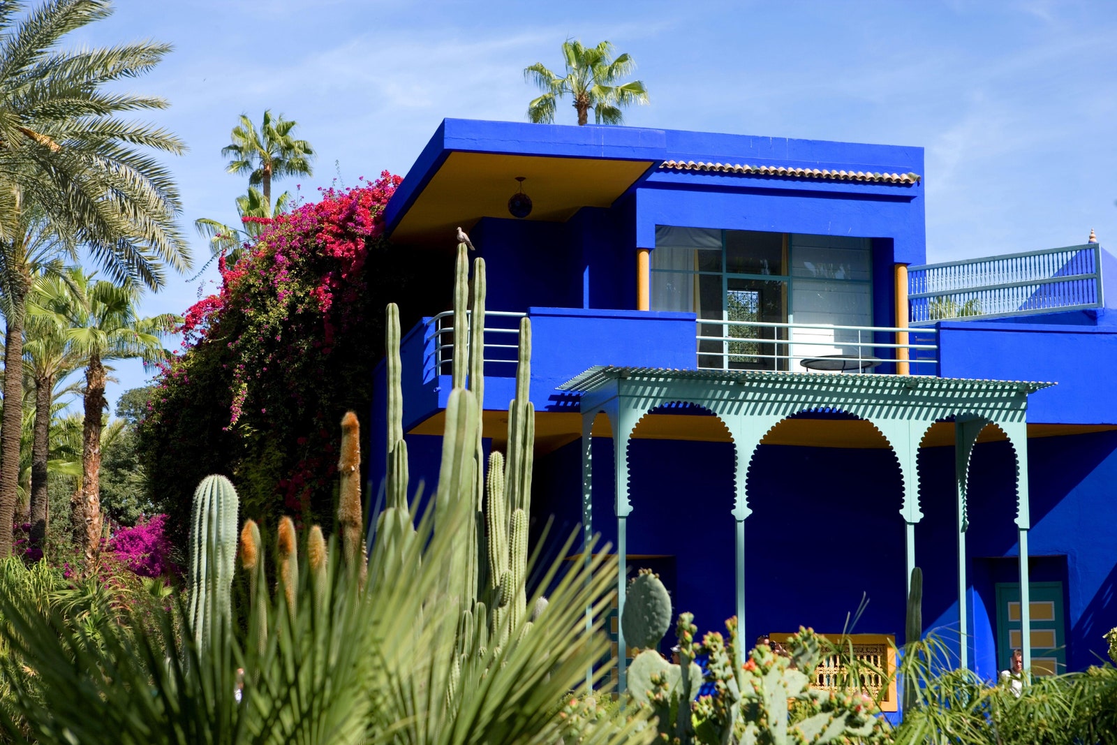 majorelle_7191